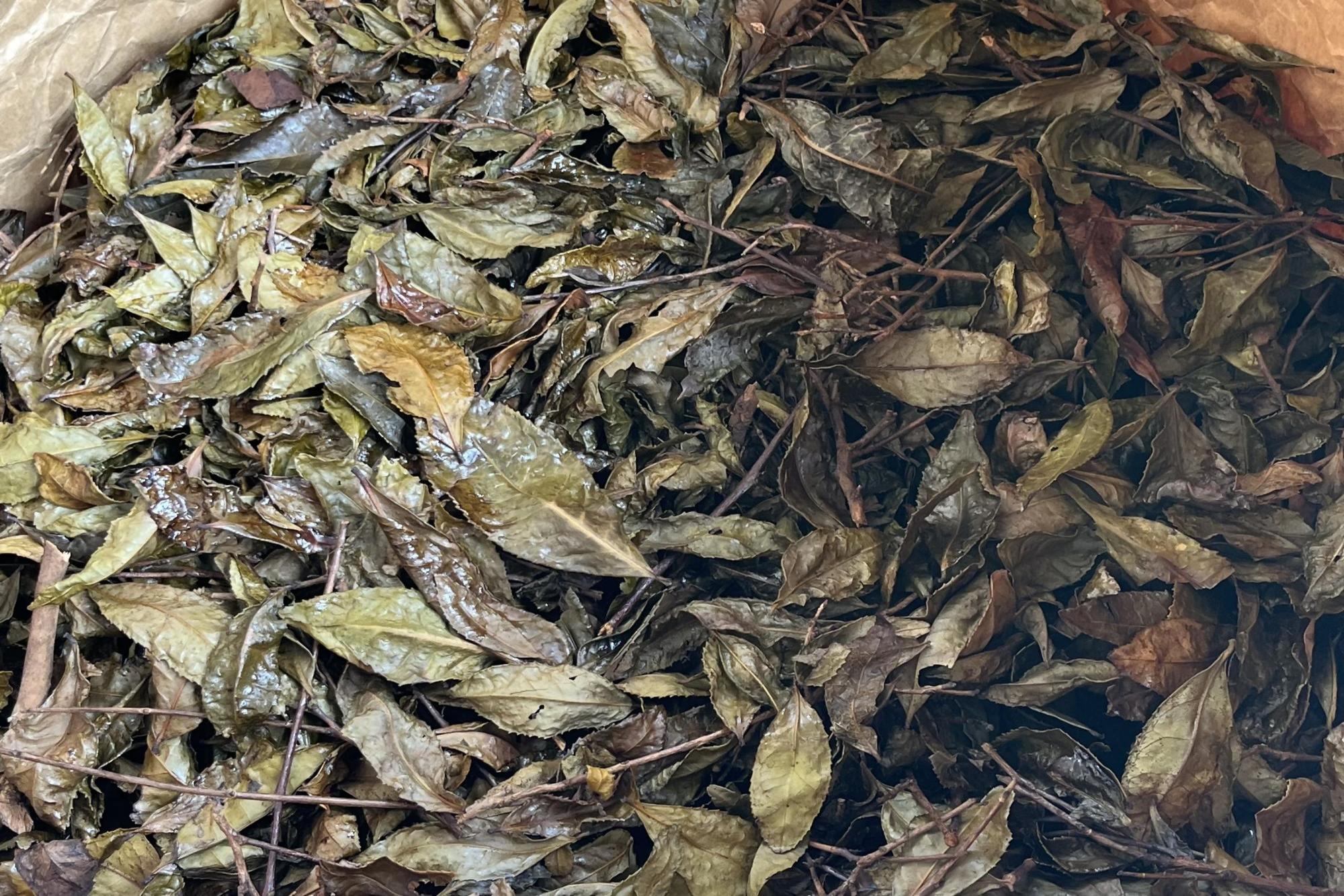 美作番茶