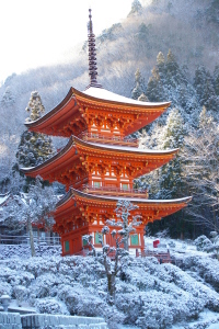 雪の三重塔