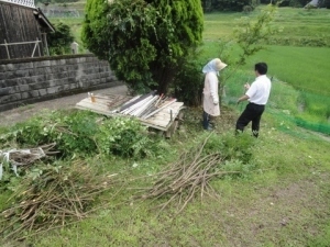 南天の大伐採をしていた春名さんと