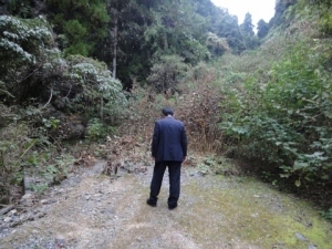 三倉田の山の奥にて