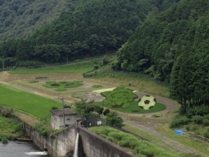 <p>「YG」の球団マークとサッカーボールを蹴るみまちゃん </p>