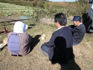 カブラ畑でお話し