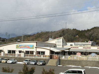 勝田ひまわり園