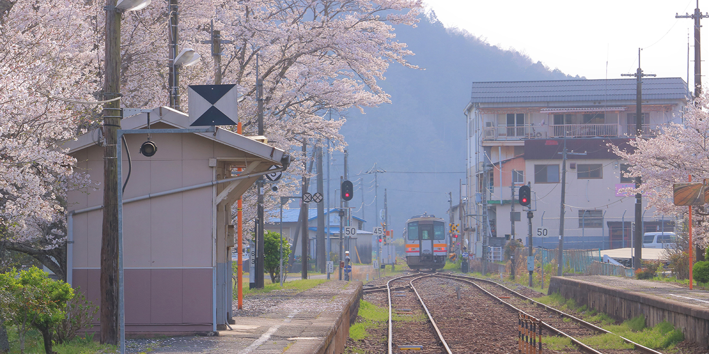 江見駅の桜