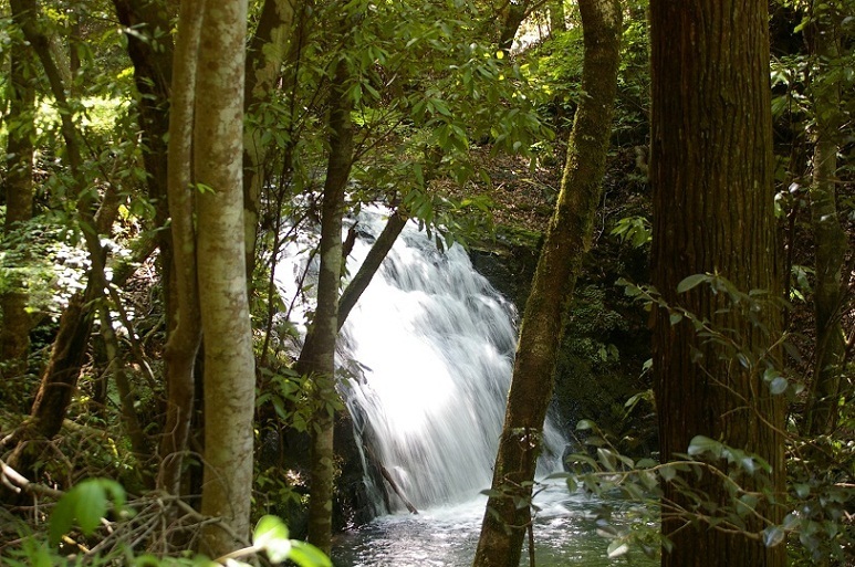 白水の滝