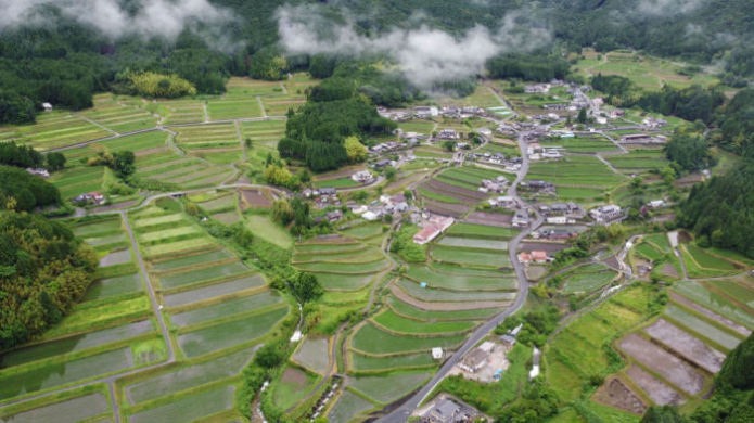 東粟倉の棚田