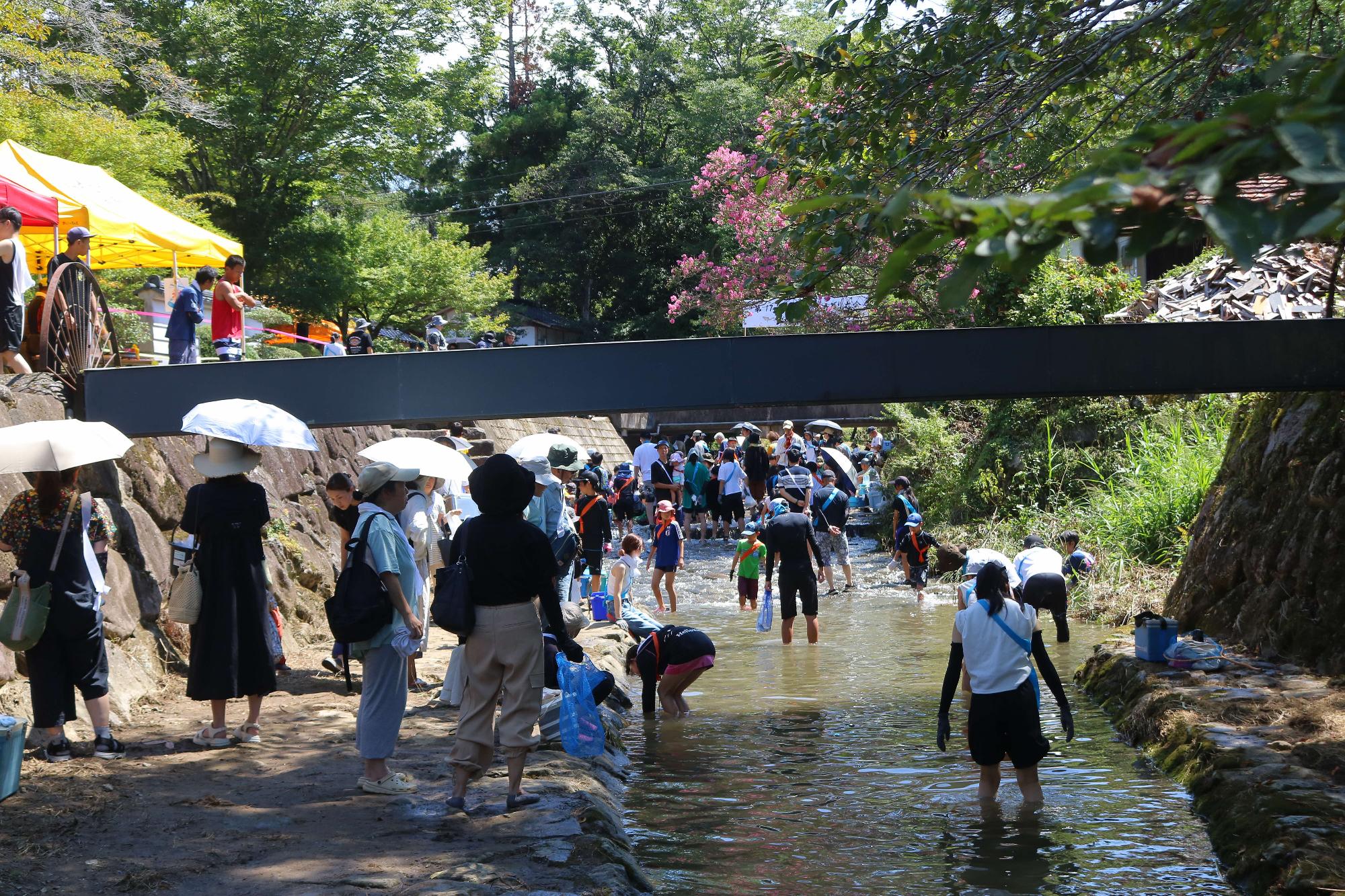 武蔵の里川魚つかみ取り大会
