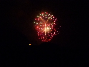 綺麗な花火が夜空を彩りました