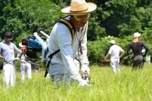 参加者はみな真剣な面持ちで草を刈りました