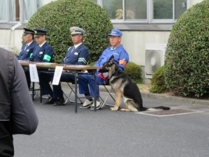 特別防犯パトロール犬