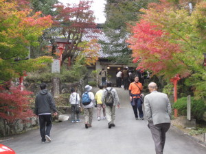 観音寺もみじまつり