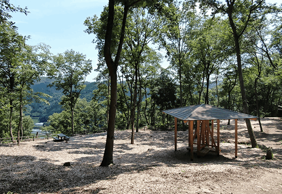 藤乃森稲荷周辺