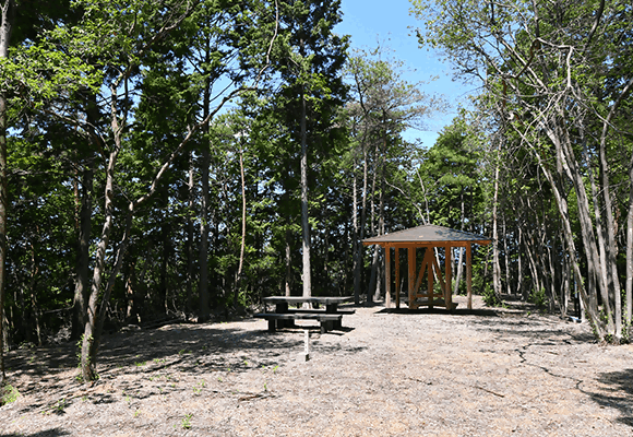 塩野尾山山頂周辺