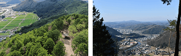 塩野尾山山頂周辺2